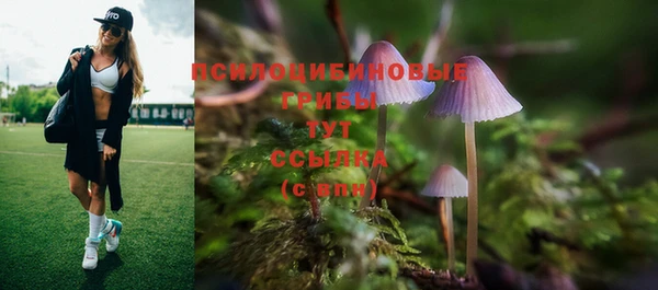 ALPHA-PVP Медвежьегорск