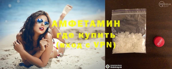 крисы Магас