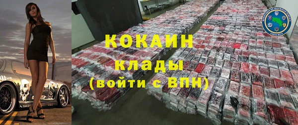 крисы Магас