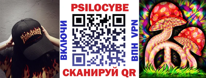 Псилоцибиновые грибы Psilocybe  Медынь 