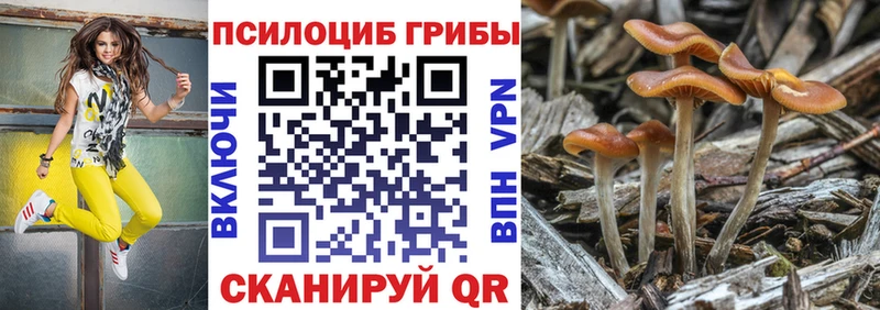 Галлюциногенные грибы MAGIC MUSHROOMS Медынь
